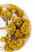 Bouquet Boule - Immortelles de Corse