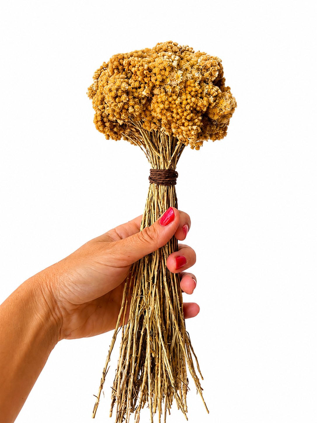Bouquet Boule - Immortelles de Corse