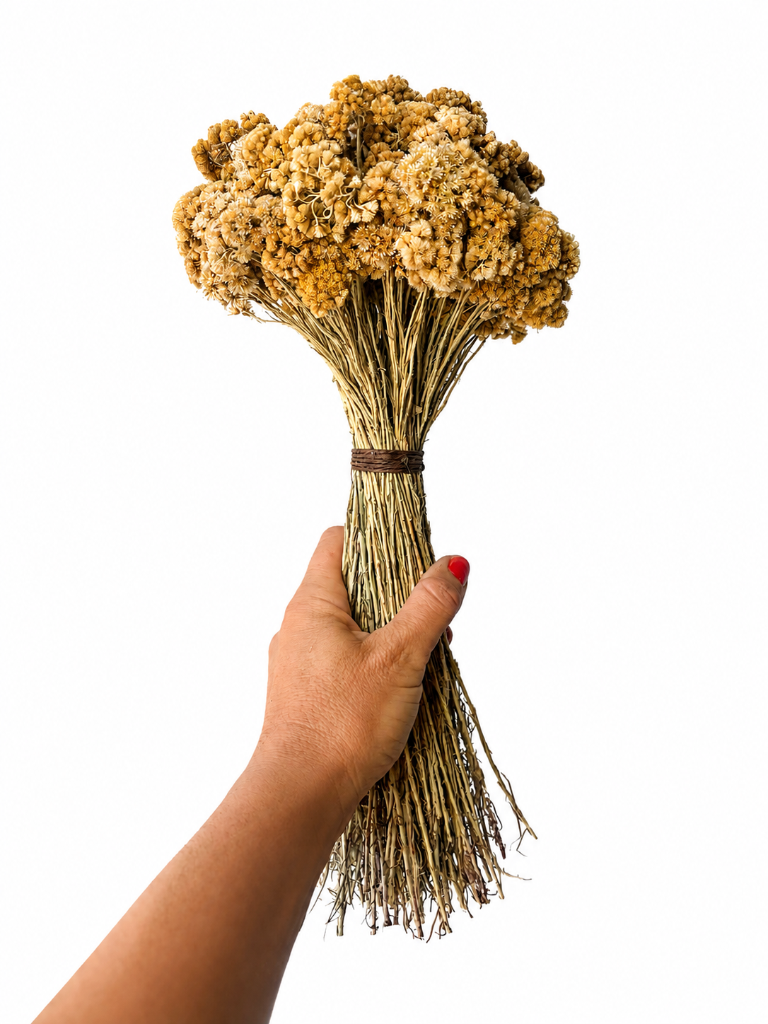 Bouquet Boule - Immortelles de Corse