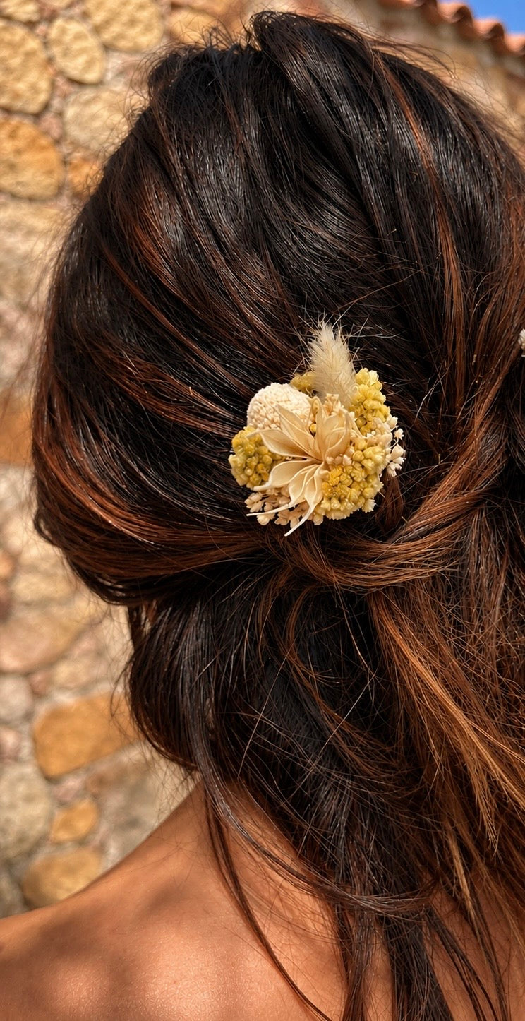 Pic à Chignon - Immortelle de Corse